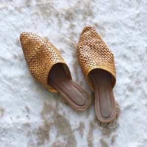 Jeffery Campbell Dashi mule